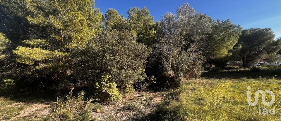 Terrain de 3 086 m² à Palamós (17230)