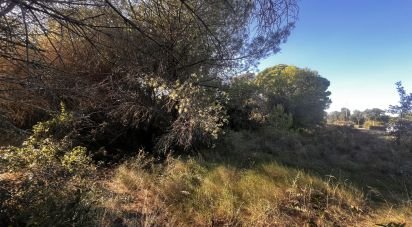 Terreno de 3.086 m² en Palamós (17230)