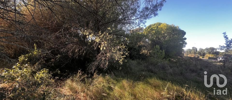 Land of 3,086 m² in Palamós (17230)