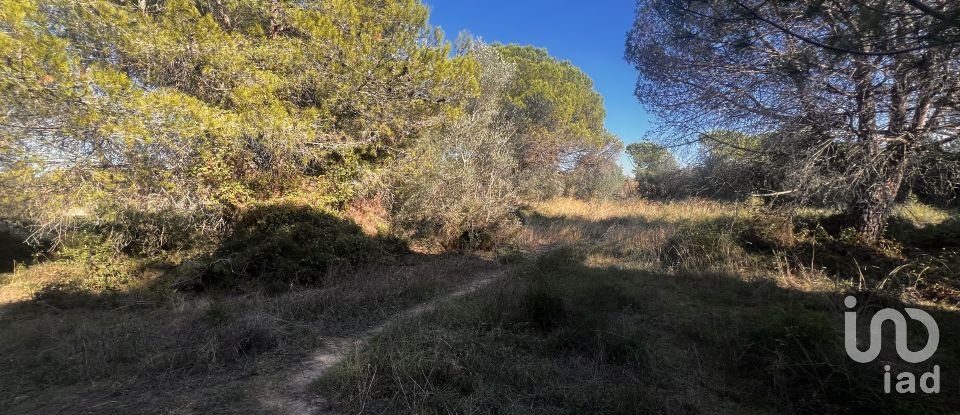 Terreno de 3.086 m² en Palamós (17230)