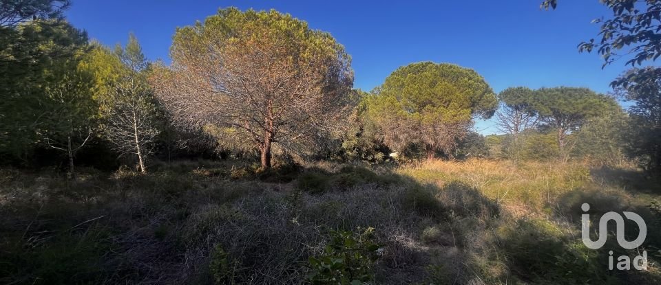 Terreno de 3.086 m² en Palamós (17230)