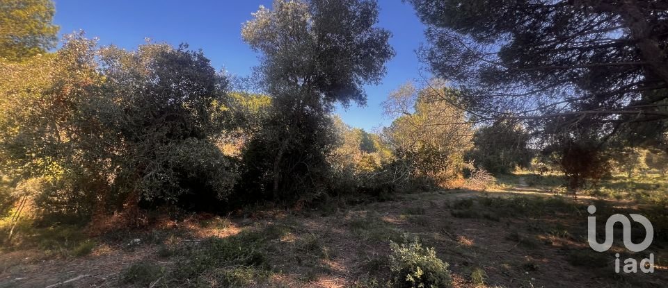 Terrain de 3 086 m² à Palamós (17230)