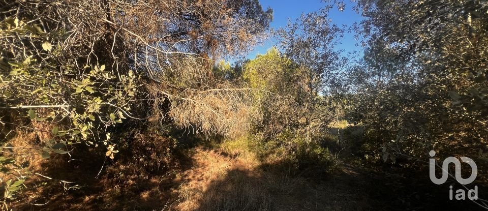 Terrain de 3 086 m² à Palamós (17230)