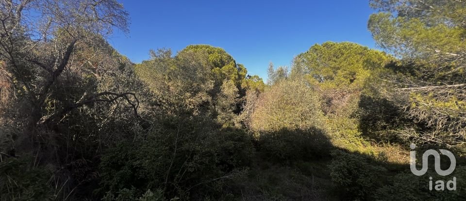 Terrain de 3 086 m² à Palamós (17230)