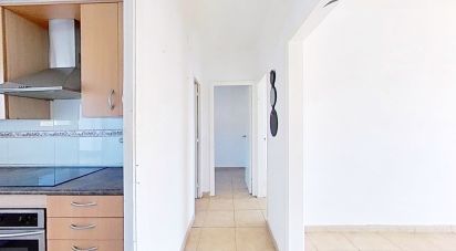 Apartment 2 bedrooms of 74 m² in L'Hospitalet de l'Infant (43890)