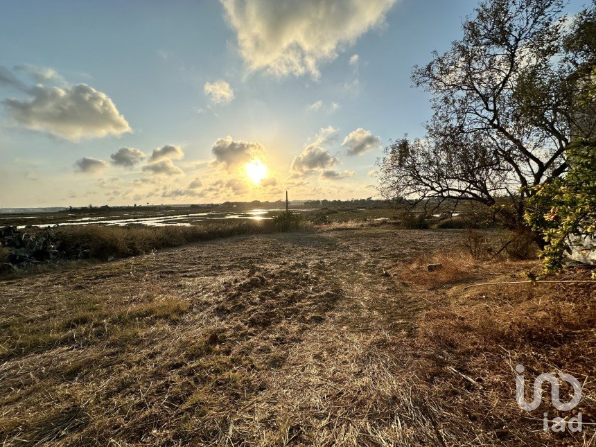 Terrain de 9 759 m² à Cartaya (21450)