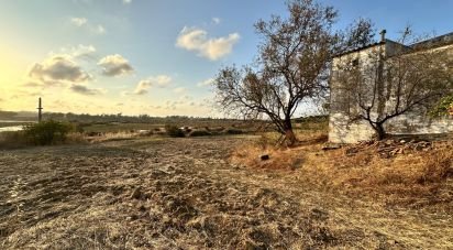 Land of 9,759 m² in Cartaya (21450)