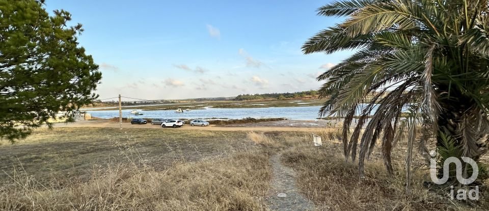 Land of 9,759 m² in Cartaya (21450)