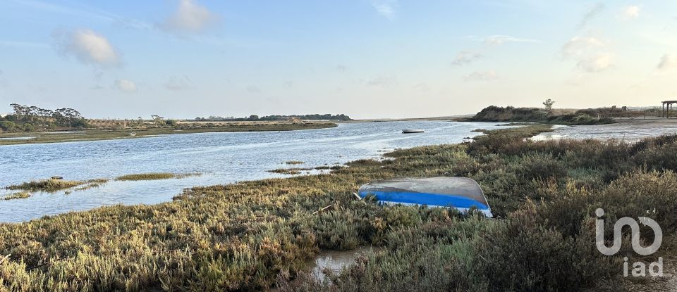 Terrain de 9 759 m² à Cartaya (21450)