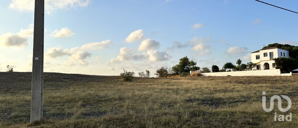 Terrain de 9 759 m² à Cartaya (21450)