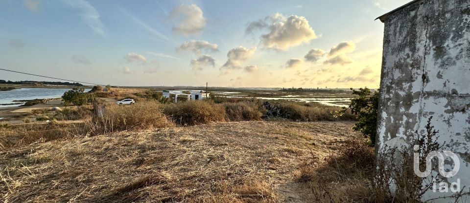 Land of 9,759 m² in Cartaya (21450)