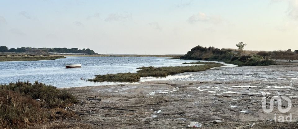 Terrain de 9 759 m² à Cartaya (21450)