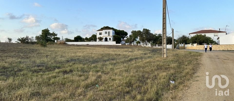 Land of 9,759 m² in Cartaya (21450)