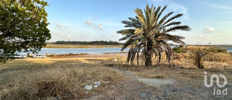 Terrain de 9 759 m² à Cartaya (21450)