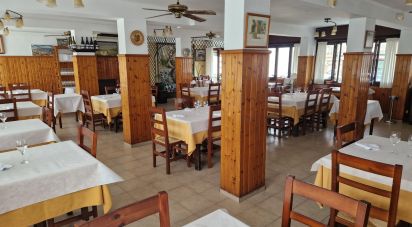 Restaurant of 200 m² in Camping Altafulla (43893)