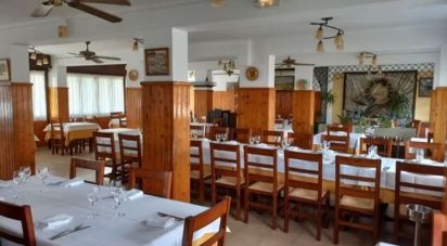 Restaurant of 200 m² in Camping Altafulla (43893)