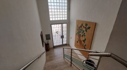 Maison 4 chambres de 174 m² à Sant Pere de Ribes (08810)