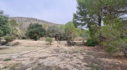 Terreno de 40.000 m² en La Vila Joiosa (03570)