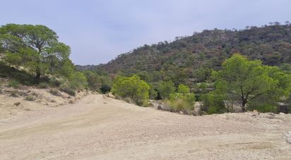 Terreno de 40.000 m² en La Vila Joiosa (03570)