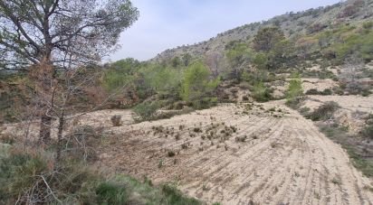 Terreno de 40.000 m² en La Vila Joiosa (03570)