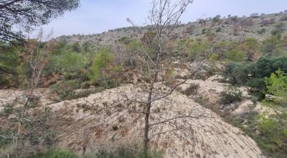 Terreno de 40.000 m² en La Vila Joiosa (03570)