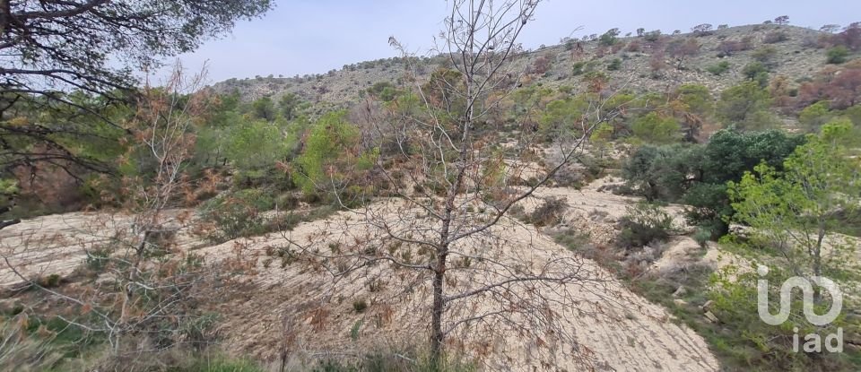 Terreno de 40.000 m² en La Vila Joiosa (03570)