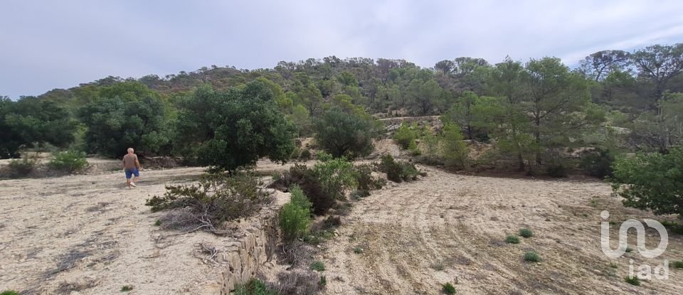 Terreno de 40.000 m² en La Vila Joiosa (03570)