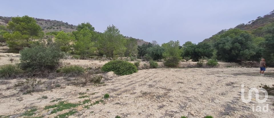 Land of 40,000 m² in La Vila Joiosa (03570)