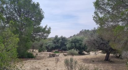 Terreno de 40.000 m² en La Vila Joiosa (03570)