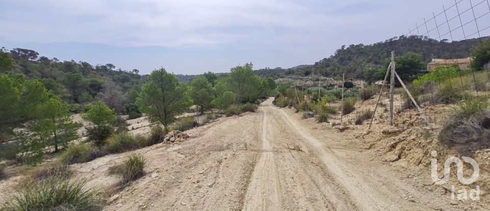 Land of 40,000 m² in La Vila Joiosa (03570)