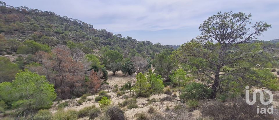 Land of 40,000 m² in La Vila Joiosa (03570)