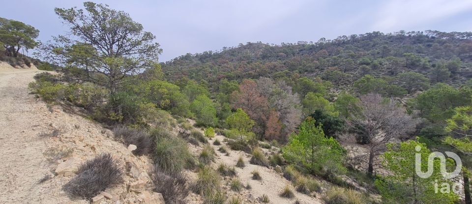 Terreno de 40.000 m² en La Vila Joiosa (03570)