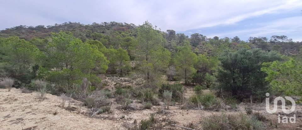 Terrain de 40 000 m² à La Vila Joiosa (03570)