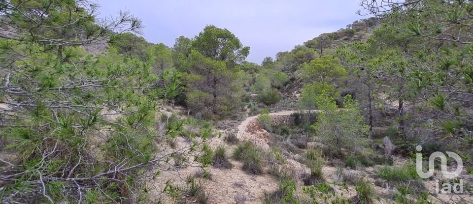 Terrain de 40 000 m² à La Vila Joiosa (03570)