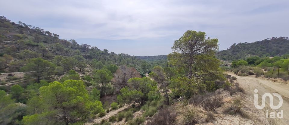 Land of 40,000 m² in La Vila Joiosa (03570)