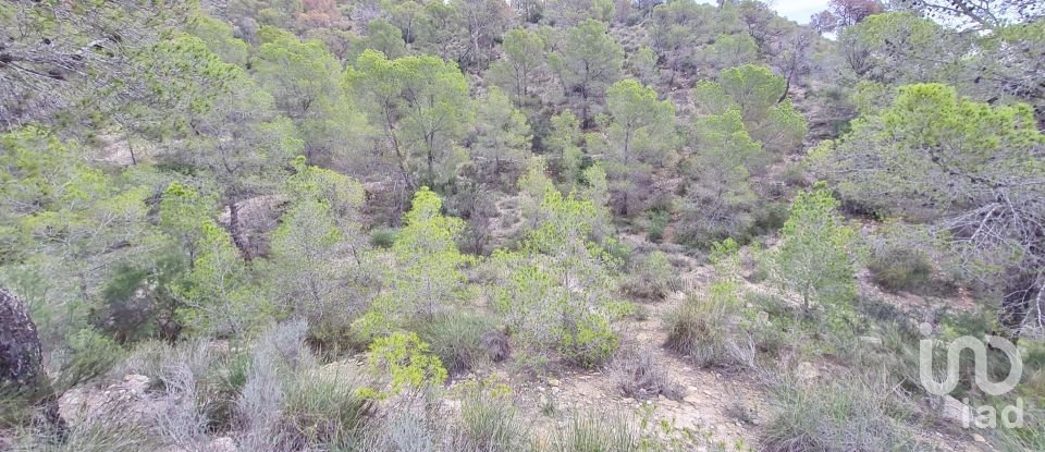 Terreno de 40.000 m² en La Vila Joiosa (03570)