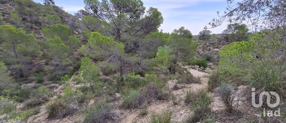 Terreno de 40.000 m² en La Vila Joiosa (03570)