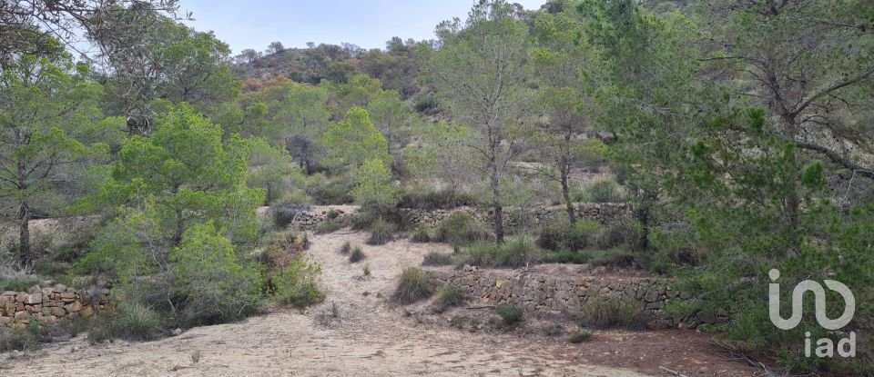 Terrain de 40 000 m² à La Vila Joiosa (03570)