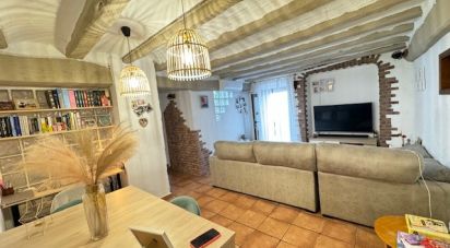 Maison 4 chambres de 172 m² à Mont-Roig del Camp (43300)