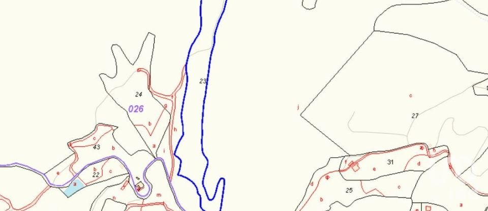 Terreno de 40.000 m² en La Vila Joiosa (03570)