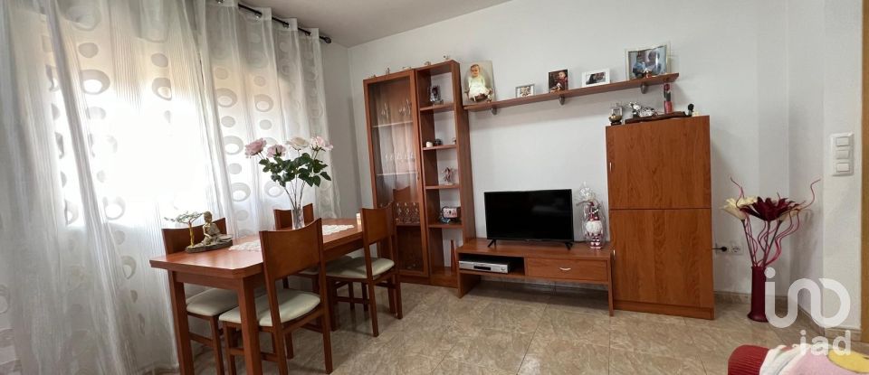 Pis 3 habitacions de 101 m² a Sant Jaume d'Enveja (43877)