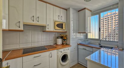 Pis 2 habitacions de 80 m² a Benidorm (03503)