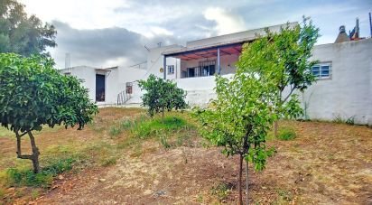 Casa de campo 3 habitaciones de 96 m² en Tarifa (11380)