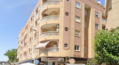 Pis 1 habitació de 48 m² a Torrevieja (03181)