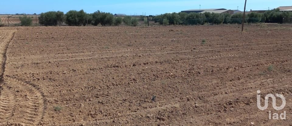 Terreno de 19.614 m² en El Gimenado (30708)