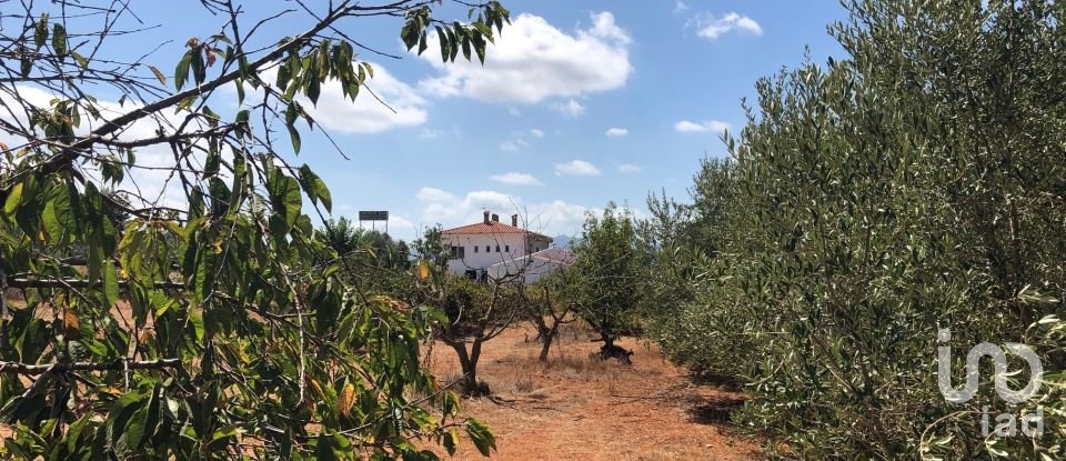 Sala d'activitats de 450 m² a Cabanes (12180)