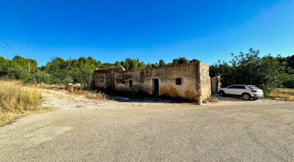 Terreno de 36.394 m² en Beniarbeig (03778)