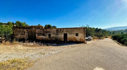 Terreno de 36.394 m² en Beniarbeig (03778)