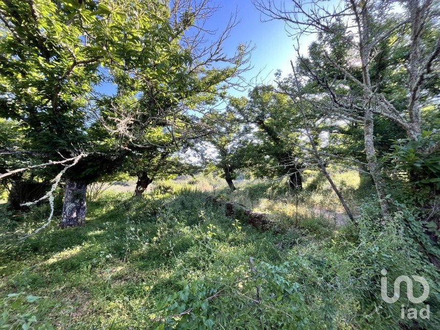 Terreno de 7.974 m² en Fuenteheridos (21292)