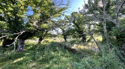 Terreny de 7.974 m² a Fuenteheridos (21292)